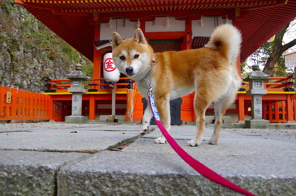 加时，独一性与时间的悖论