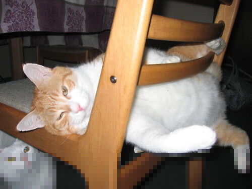 莱奥的独舞，一场被取消时空的洪都拉斯对阵冰岛