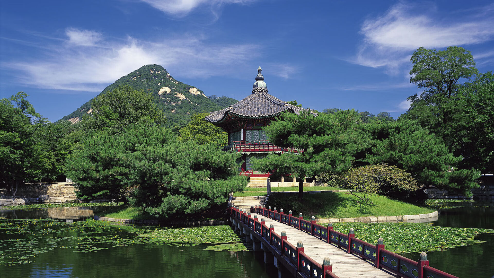 当北岸花园的绿焰照亮丹佛的雪山