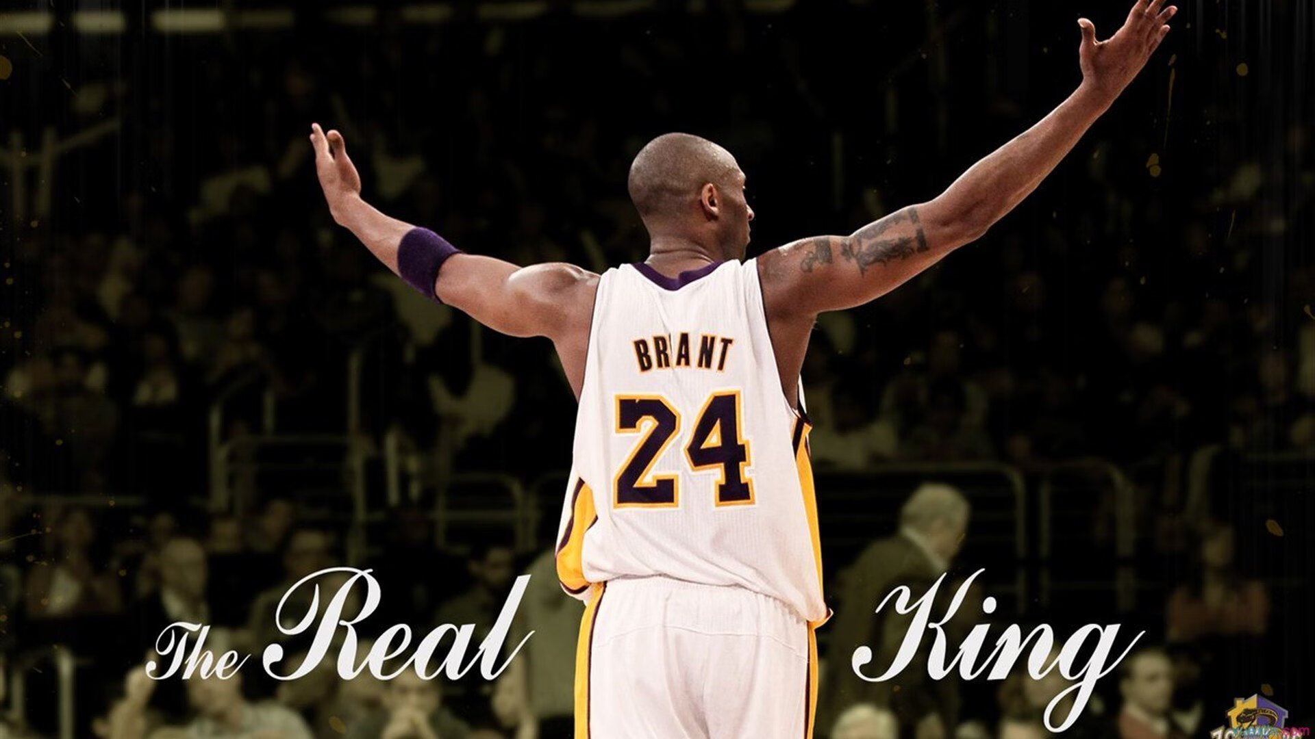 罗德里,于无声处听惊雷,钢铁洪师碾碎洪都拉斯幻想