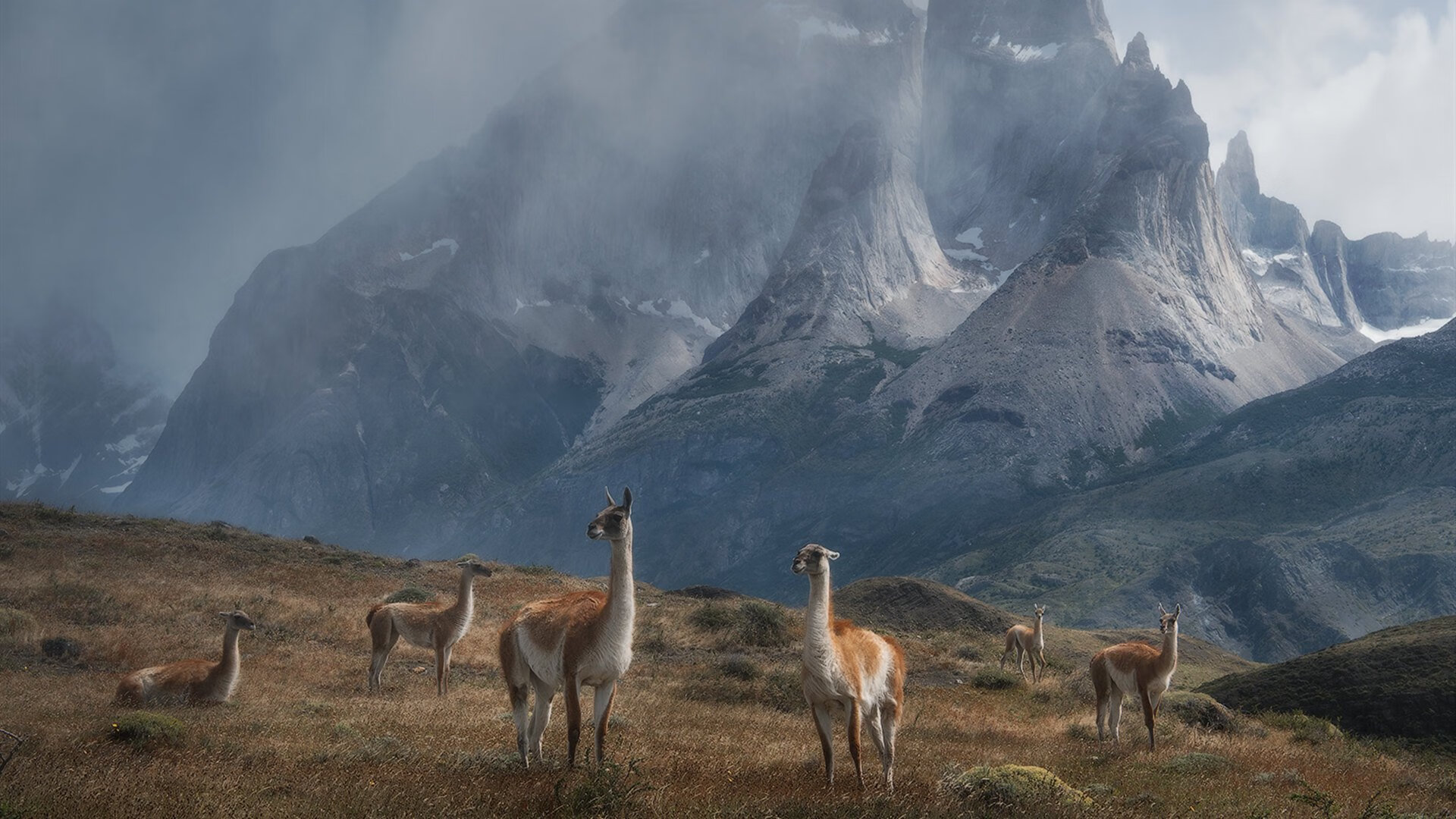 绝境逆转!加纳倒下之夜,托尼先生降临里昂