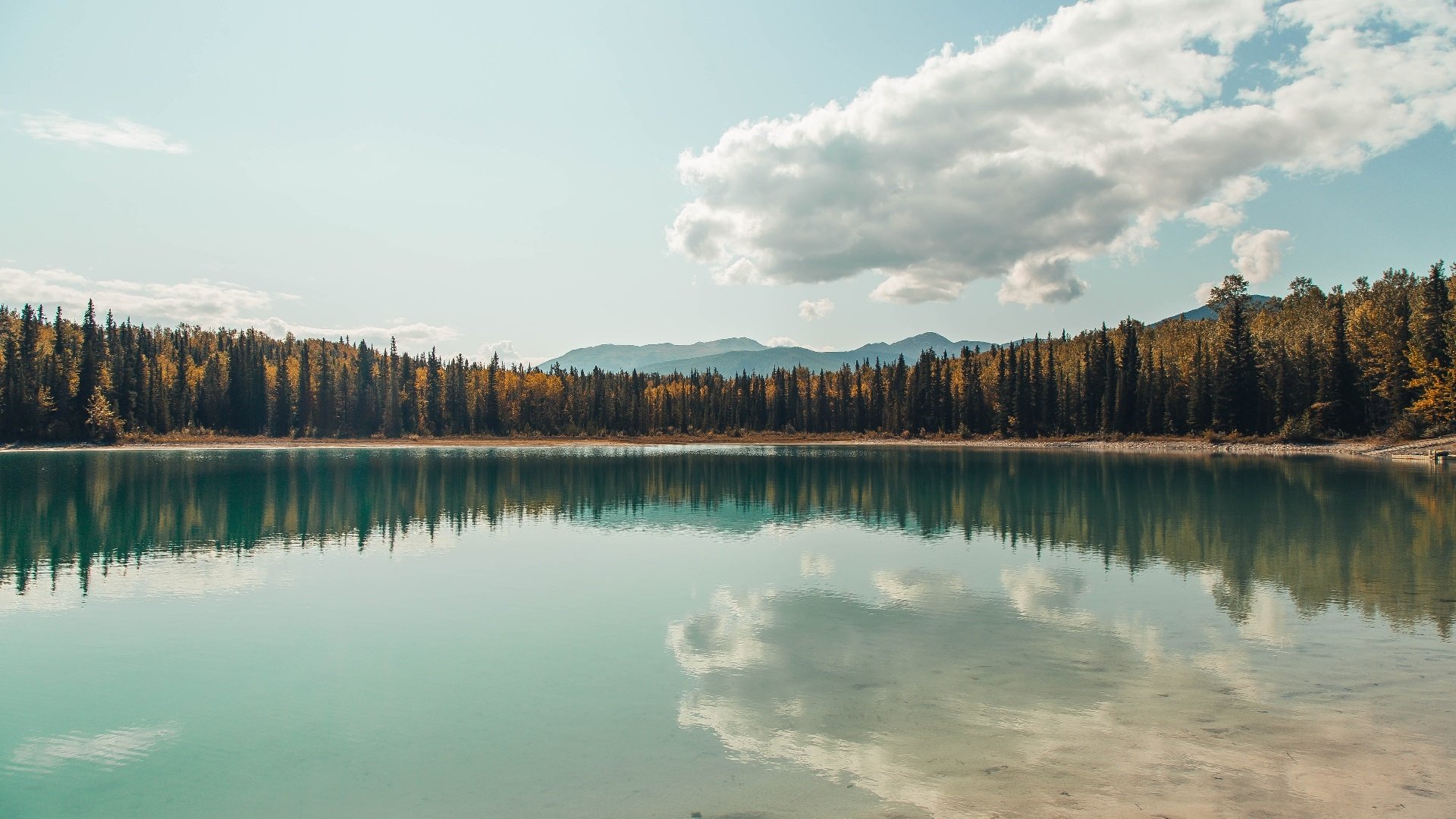 关键先生的空砍之夜，当字母哥的璀璨遇上勇士的团队浪潮