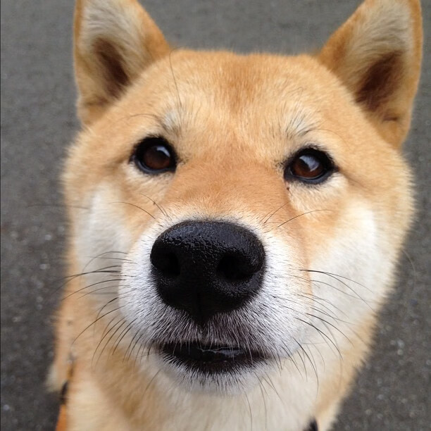 开云体育中国-关键先生的魔法时刻，梅西助贝蒂斯险胜比利亚雷亚尔