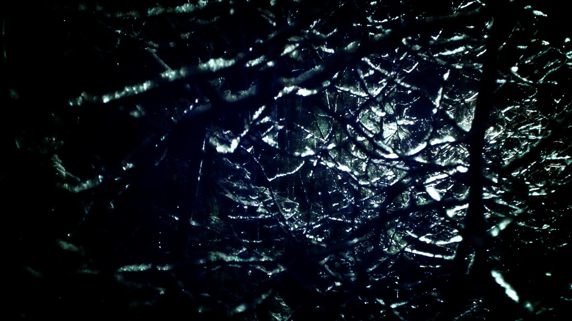 唯一性的双重奏，日本狂胜美国与莱奥的季后赛传奇