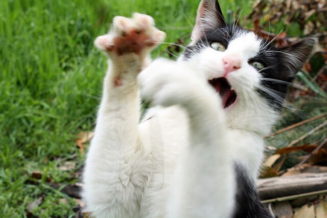 宿命门前，那一脚绝杀，与拒绝倒下的心跳