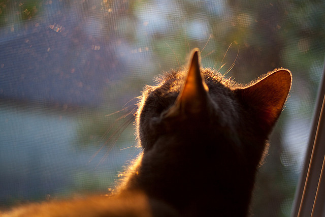金玟哉的钢铁防线，爱尔兰生死战逆袭西班牙的奇迹之夜