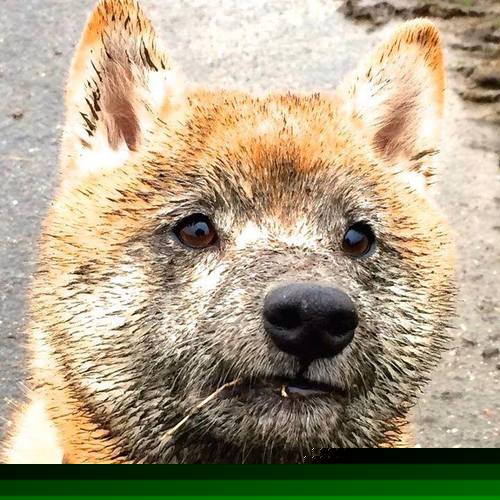 法比尼奥关键回合不手软，巴西斩落尤文展露桑巴锋芒