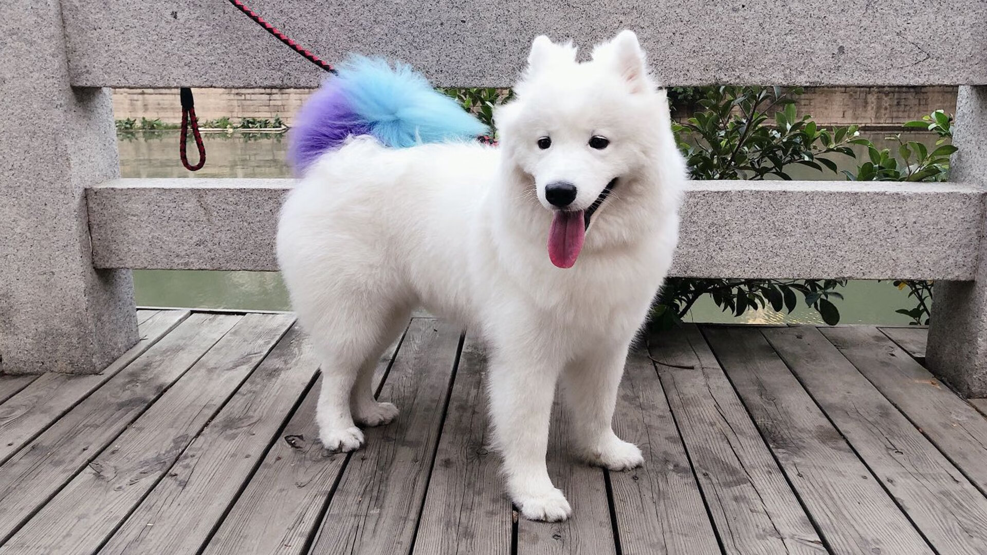 决胜千里外，阿拉巴的战术屏如何遥控墨西哥与土耳其的绿茵棋局