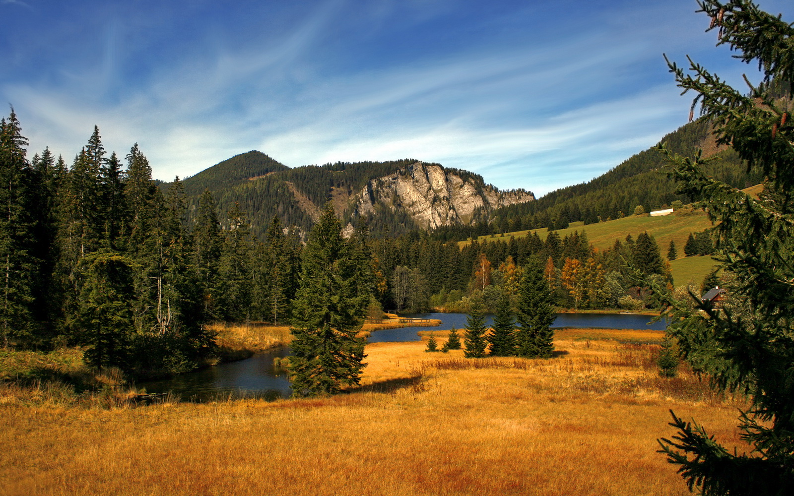 最终救赎藏在电子骨灰盒，公牛淘汰掘金，德雷蒙德·乔治的关键先生纪元