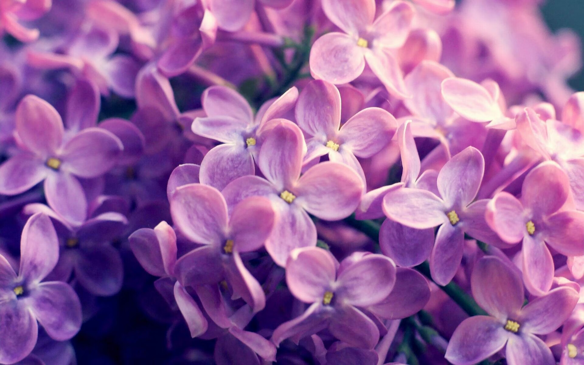 开云体育登录-萨卡利刃持续出鞘，乌拉圭风暴强势袭向埃及金字塔