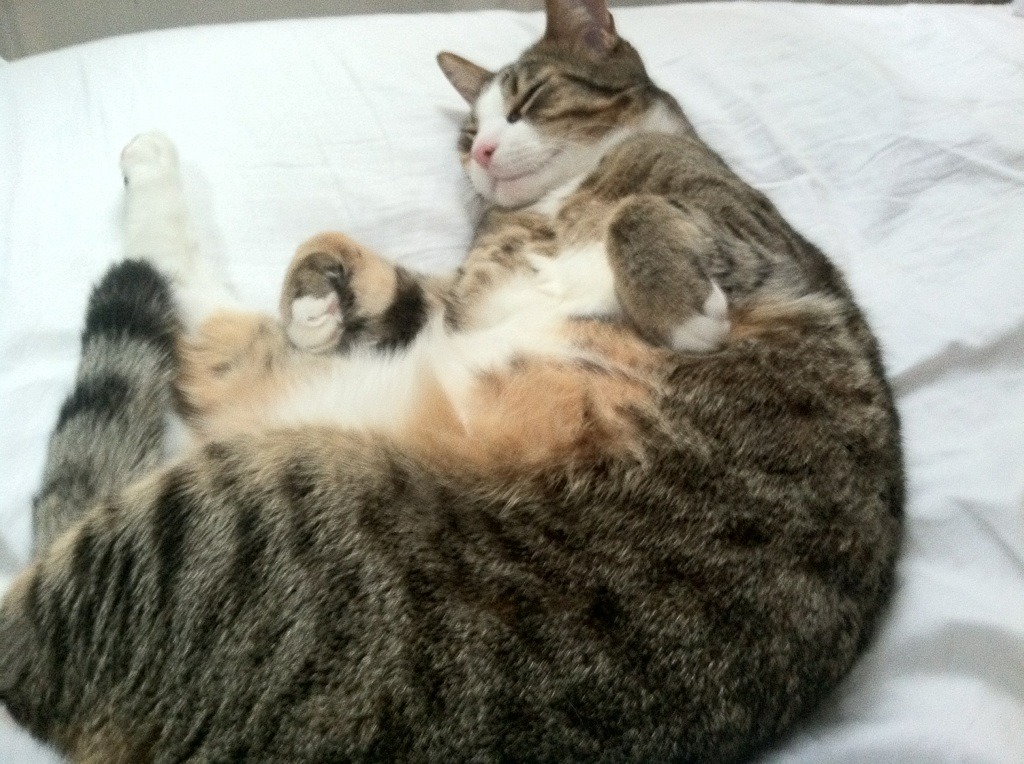 布克之夜，在F1的轰鸣中，定义篮球场外的另一种节奏