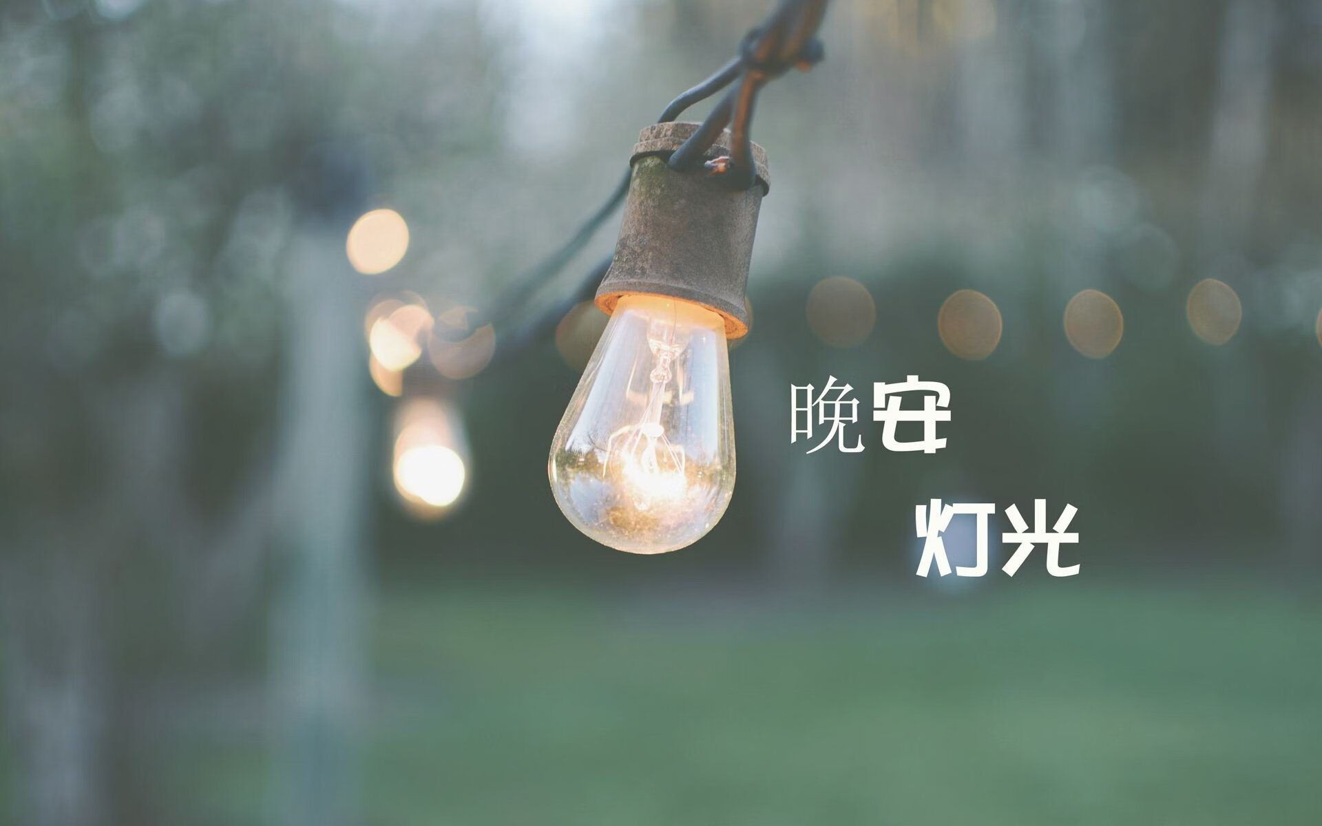 绿茵孤影,一剑封喉,2026世界杯C组哥伦比亚绝杀罗马尼亚,萨内与默契铸就唯一时刻