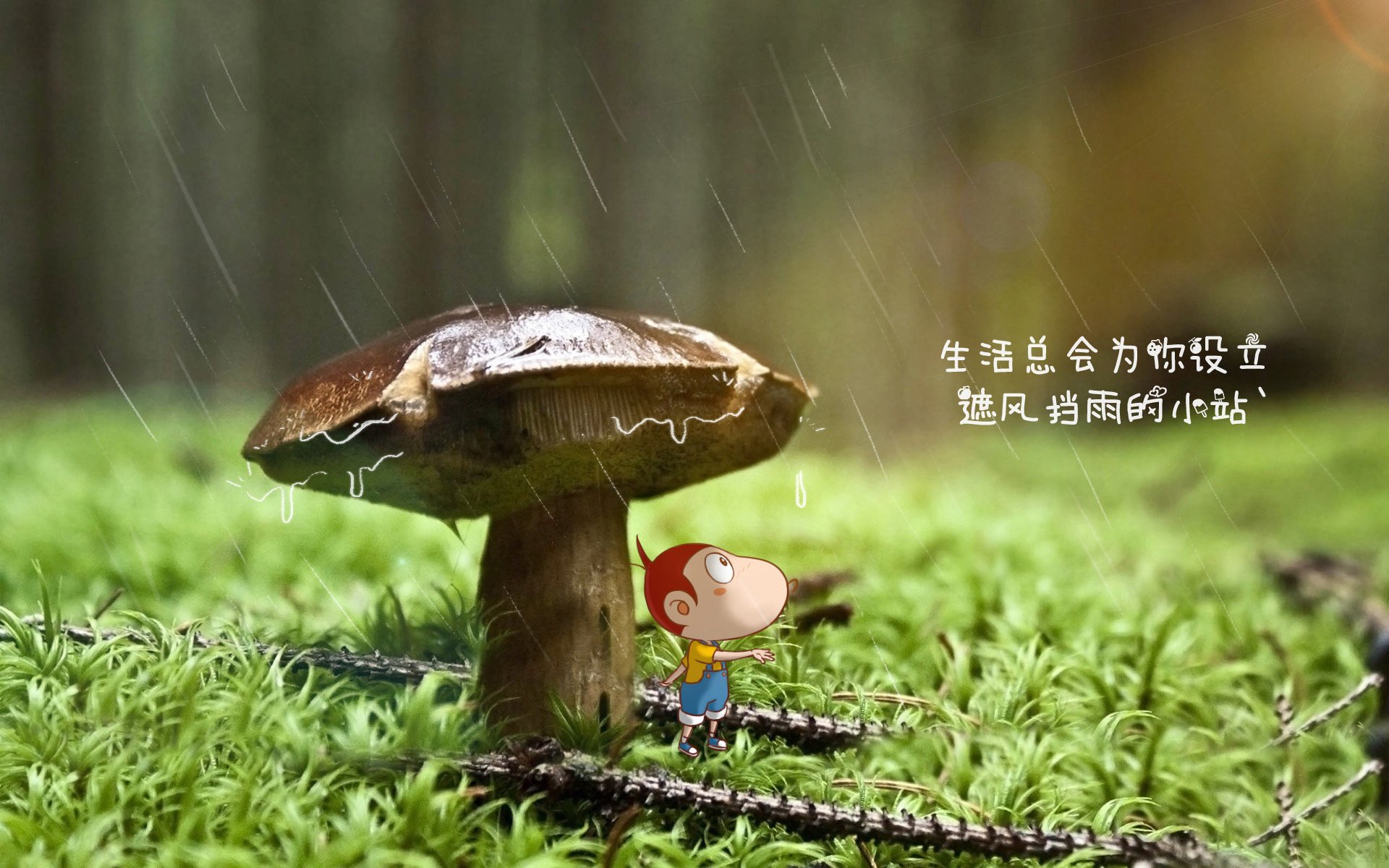 开云官网-致命一击定乾坤，格列兹曼的孤注一掷，如何让奥地利在C组绞杀罗马尼亚的钢铁防线