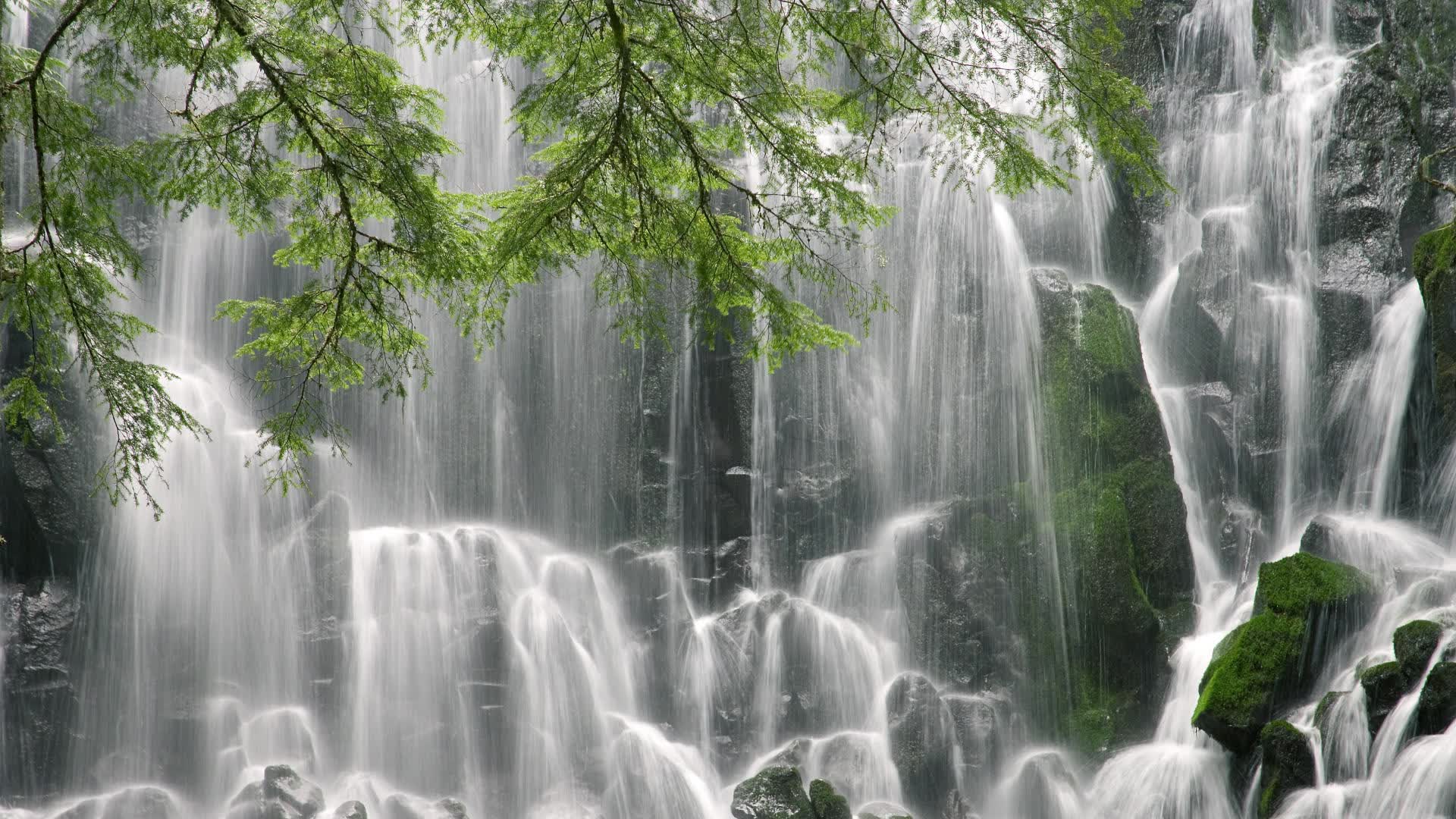 开云体育-扩展思维，文章标题
