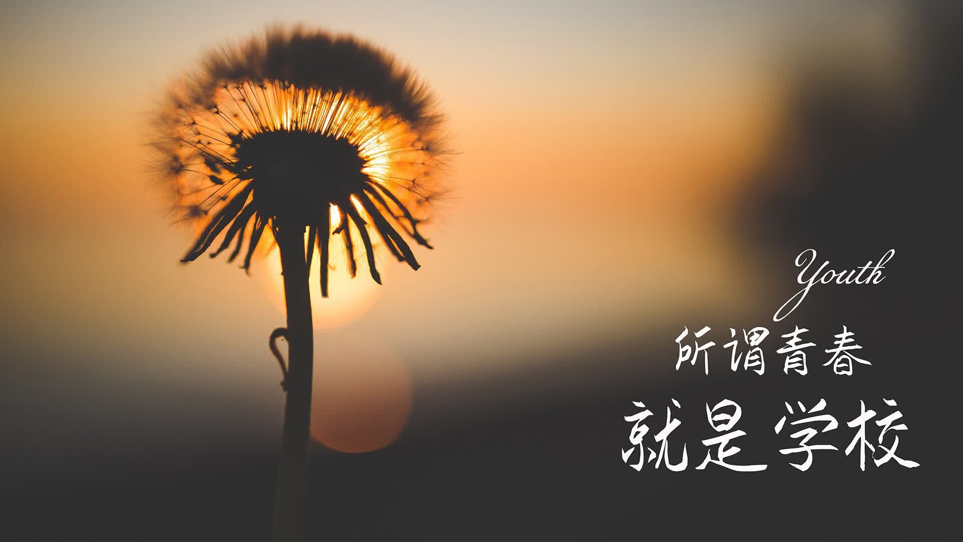 郁金香风暴席卷华沙,荷兰用控球艺术碾压波兰,巴雷拉独舞点亮2026世界杯C组巅峰夜